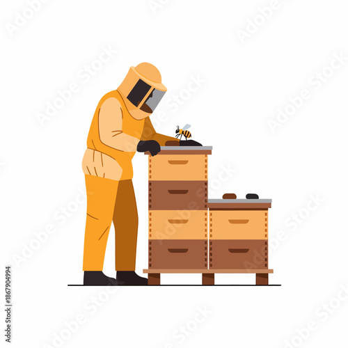 Beekeeper Inspecting Beehives in Apiary.