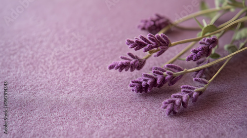 Lavender flowers on purple background with soft texture