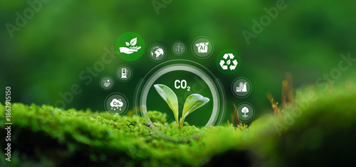 Sustainable seedling growth; connecting nature with technology and artificial intelligence to address climate change and environmentally friendly investments.