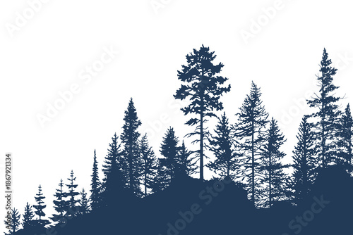 Silhouette of a forest, isolated on white background, vector illustration