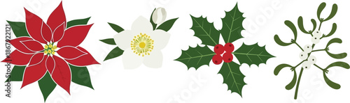 Festive winter floral arrangement with poinsettia holly and dogwood silhouette on transparent background