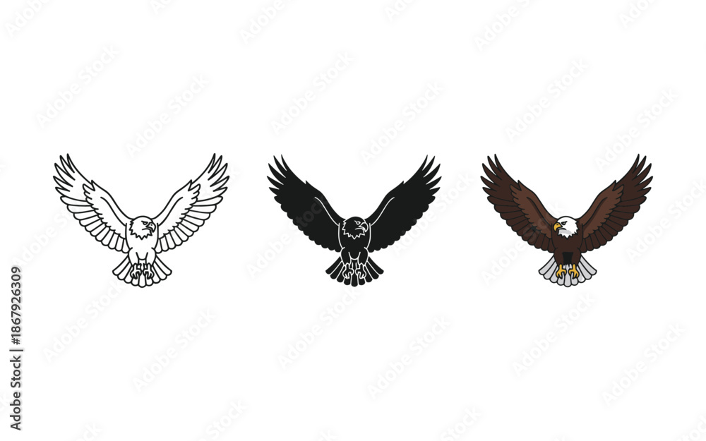 Fototapeta premium Three Eagles Flying with Wings Spread Wide in Different Colors