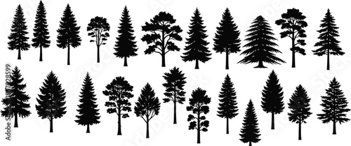 Black Pine Tree Silhouettes Collection, Evergreen Forest Fir and Spruce Timber Set, Cad Drawing Flat Vector Illustration for Outdoor Landscape Design, Nature