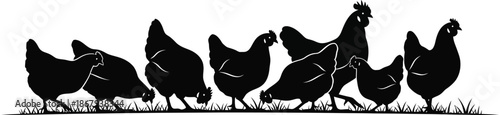 A flock of chickens foraging in grass black silhouette on transparent background