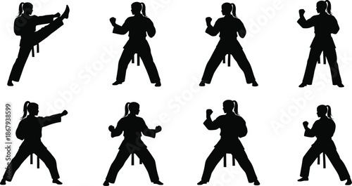 Four martial artists in dynamic poses repeated in a grid on transparent background silhouette