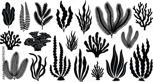 Black seaweed silhouette collection with coral and underwater plants set isolated on white background for marine nature and ocean life design