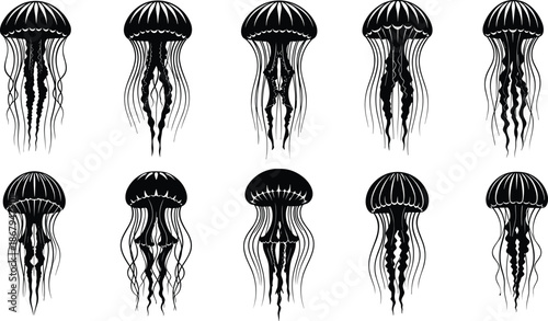 Large Collection of Detailed Jellyfish Silhouettes Featuring Various Tentacle Patterns and Marine Life Shapes Isolated on White Background for Aquatic Design
