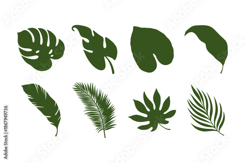 Tropical leaves, Jungle leaves, Botanical leaves, Palm leaves, Exotic foliage icon design collection with silhouette style for education, nature, summer, ecology, wellness. Vector illustration