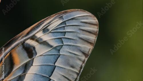 Close up of a snake head with detailed scales and a blurred green background.