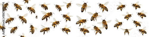 Flying Honey Bees Collection Isolated on White Background