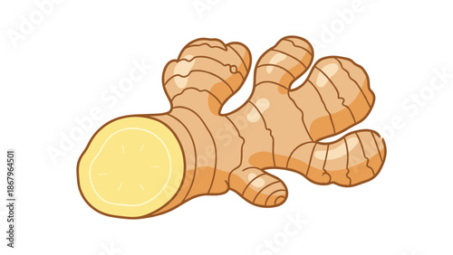 A detailed illustration of a fresh ginger root with a piece cut off to show the yellow inside, isolated on a white background.
