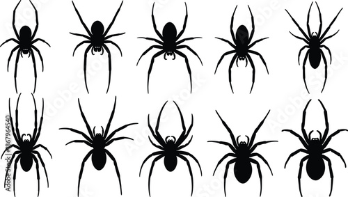 Spider silhouette collection of crawling arachnids with eight legs, creepy insect shapes for Halloween design and nature illustration