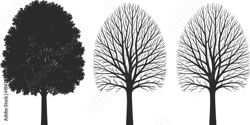 Silhouette and outline of trees with full foliage and bare branches on white background nature