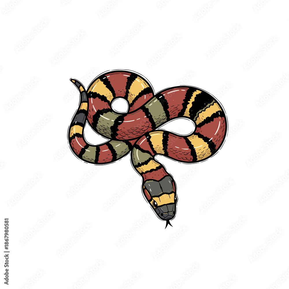 Obraz premium Coral snake illustration on a transparent background 