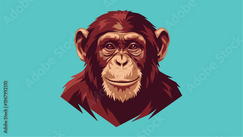 Chimpanzee portrait focused on the face looking directly at the viewer with a neutral expression.