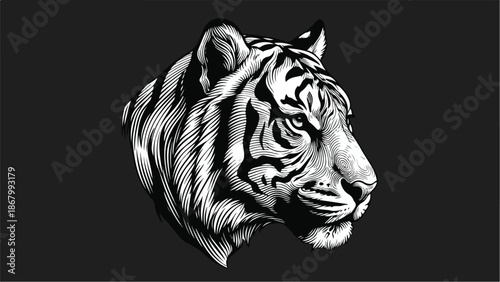 Detailed monochrome illustration of a majestic tigers head.
