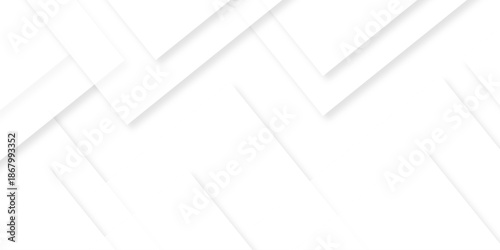 Geometric abstract square cover triangle white and gray gradient line background. vector presentation white transparent creative banner and template web design.