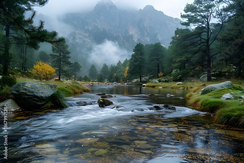 Serene Mountain River Flowing Through Lush Green Forest Landscape