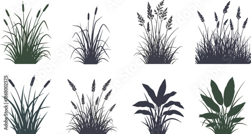 Collection of six plant silhouettes in various backgrounds