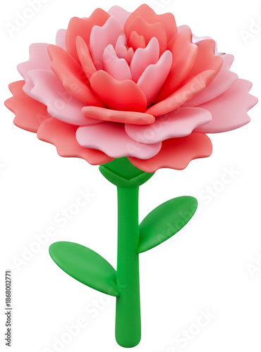 pink rose flower