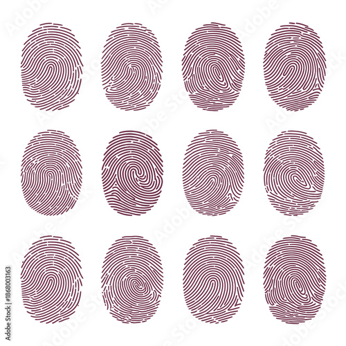 Collection of twelve unique fingerprint patterns on white background