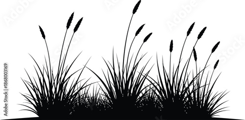 Black silhouette of cattails against white background