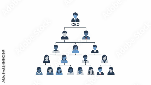 Business organizational chart showing hierarchy and roles.