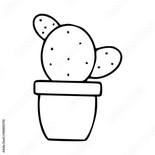 minimalist hand drawn cactus in pot illustration