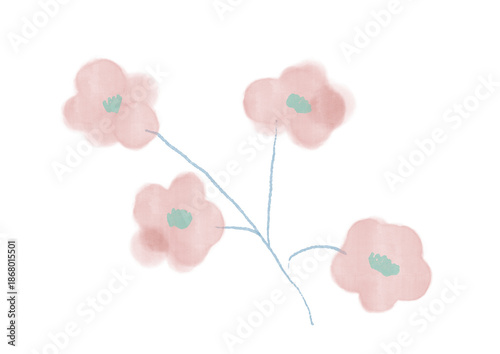 Soft pink watercolor flower illustration with delicate branches