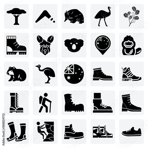 Iconic Symbols Of Australia – Featuring Native Animals, Plants, And Outback Culture For Tourism And National Identity