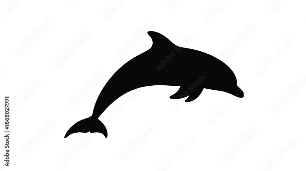 Fototapeta premium A leaping dolphin captured in a striking black and white silhouette