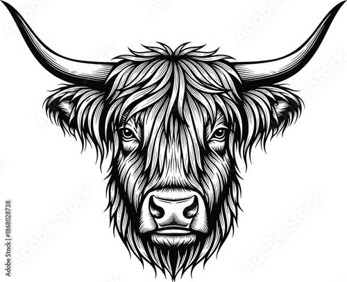 Highland Cow Head Illustration Vector, Hand Drawn Horned Cattle Portrait in Vintage Engraving Style for Farm Logo Apparel Prints