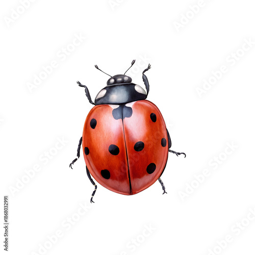 Watercolor ladybug with red shell and black spots isolated on a transparent background