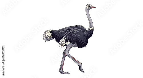 A detailed pixel art illustration of an ostrich, featuring its long neck, dark plumage, and characteristic gait, isolated on white.