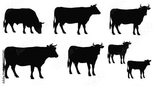 A collection of black cattle silhouettes in various positions silhouette