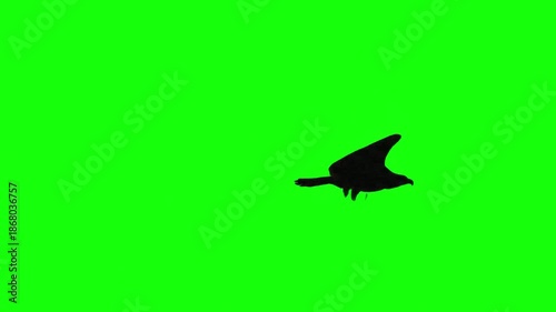A stark black silhouette of a crow or raven is captured in flight, wings outstretched, against a bright green screen.