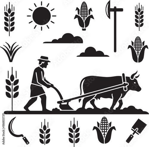 Farmer plowing field with ox and agricultural agriculture