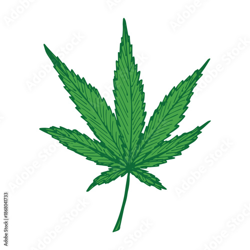 Hand drawn cannabis leaf Medicine marijuana Hemp leaves clipart in doodle style Single element for print, web, design, decor