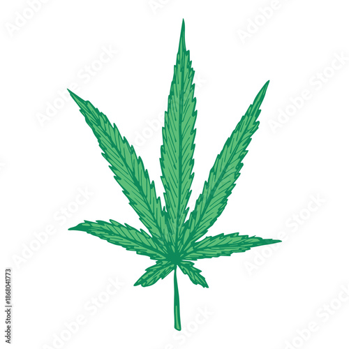 Hand drawn cannabis leaf Medicine marijuana Hemp leaves clipart in doodle style Single element for print, web, design, decor