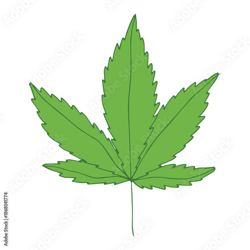 Hand drawn cannabis leaf Medicine marijuana Hemp leaves clipart in doodle style Single element for print, web, design, decor