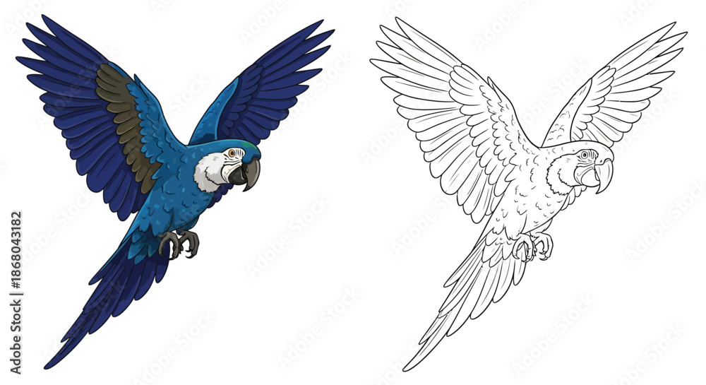 Obraz premium Blue and White Parrot Flying in Color and Outline Illustration For Tropical Design Projects