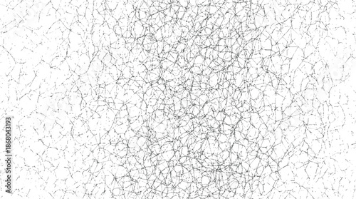 Intricate network of fine grey lines forming a complex web-like pattern against a stark white background creating a sense of interconnectedness and abstract