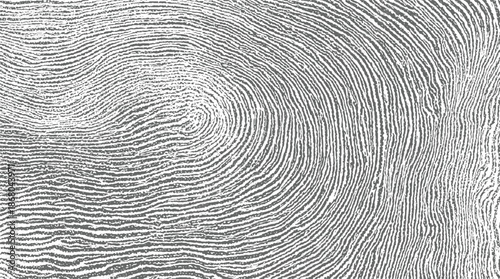Close-up macro view of a fingerprint pattern with distinct concentric ridges and valleys in black and white, showcasing intricate detail and organic texture
