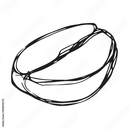 Hand drawn fresh roasted coffee bean Arabica robusta seed doodle Single element for print, web, design, decor