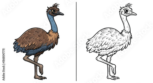 Cartoon Emu Stock Illustration Featuring A Funny And Friendly Australian Flightless Bird