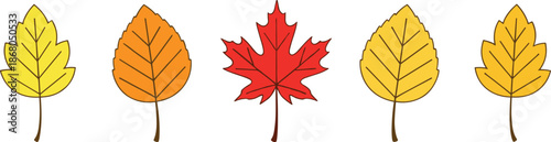 Autumn Leaf Set Flat Vector Illustration with Colorful Fall Tree Leaves for Seasonal Nature and Decoration Design