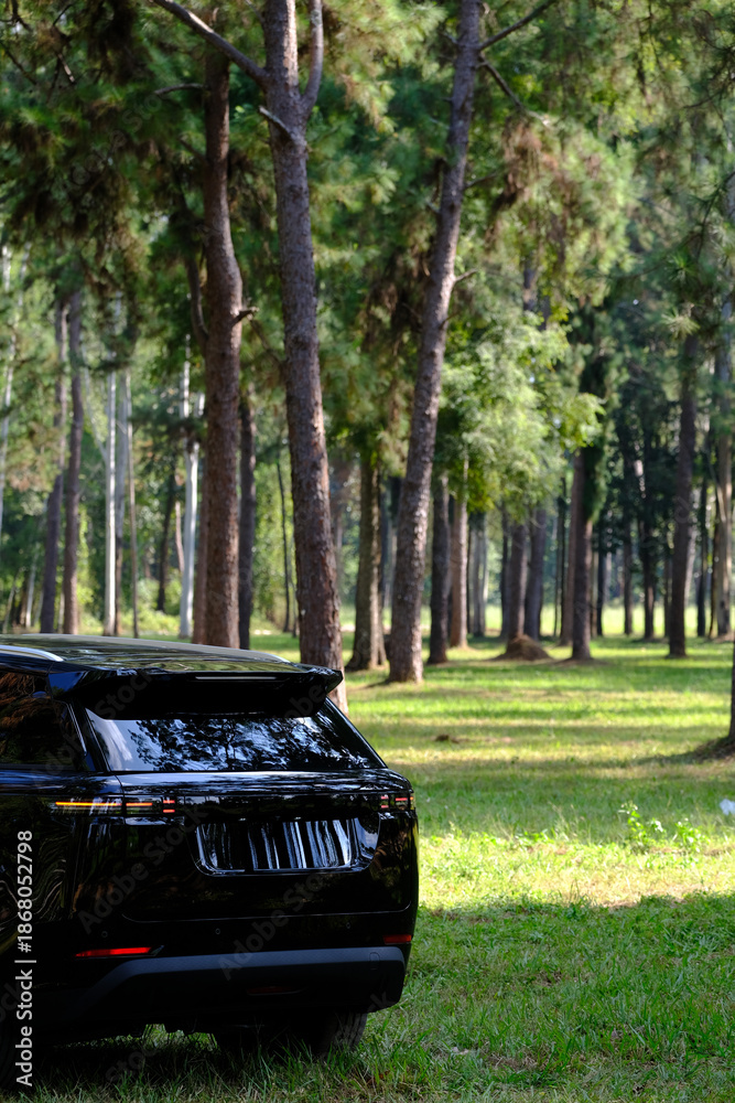 Obraz premium Modern Electric Vehicle Parked in Green Forest , Sustainable Transportation Electric SUV Outdoor