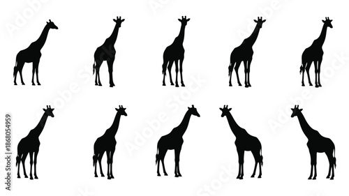A collection of giraffe shapes in varying poses a striking silhouette
