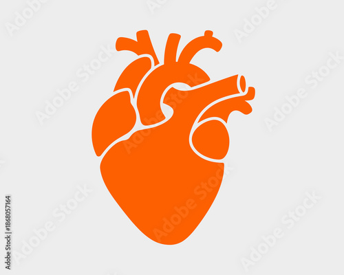 Orange human heart anatomy illustration on white background for medical healthcare cardiovascular health awareness campaign anatomical organ graphic design elements for presentations educational resou