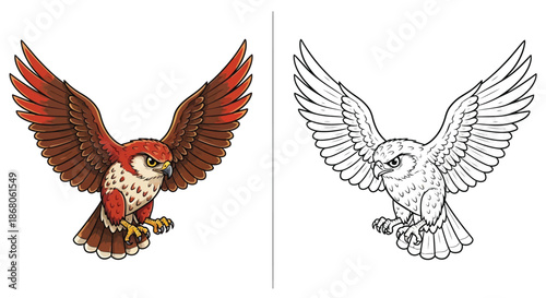 Colorful Hawk Illustration With Black and White Version For Raptor Nature Education